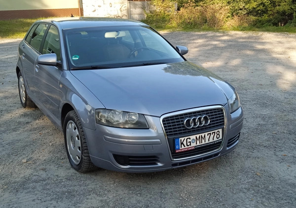 Audi A3 cena 19800 przebieg: 205000, rok produkcji 2005 z Stopnica małe 436